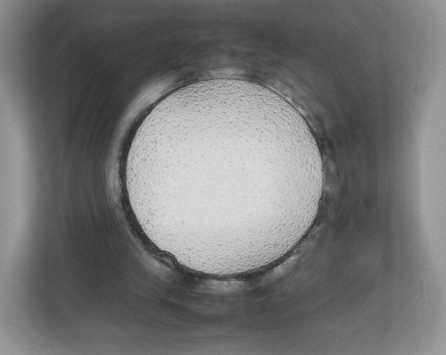 X0000112470245200909141124