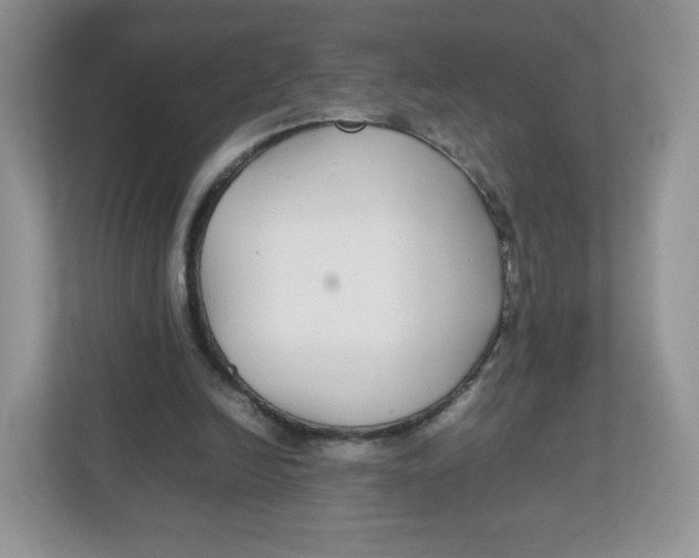 X0000112470246200909141124