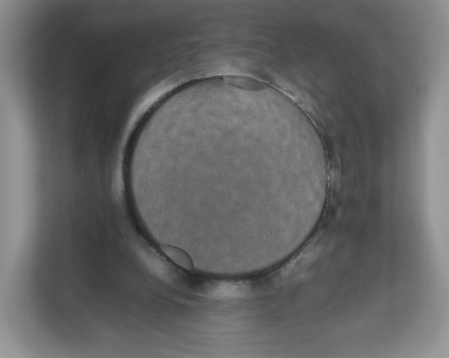 X0000112470248200909141124