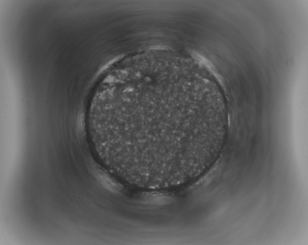 X0000112470249200909141124