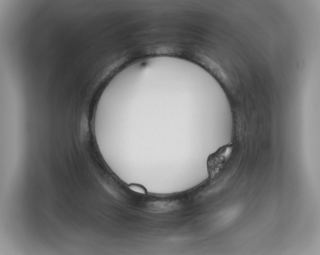 X0000112470251200909141124