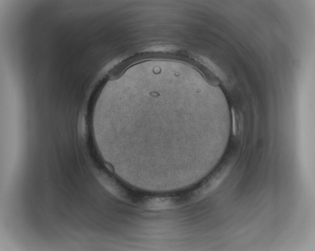 X0000112470252200909141124