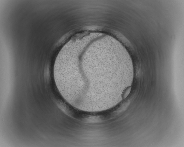 X0000112470256200909141124