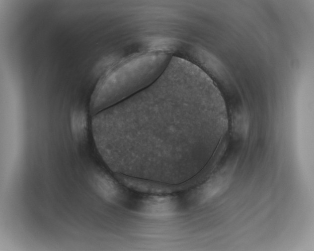 X0000112470260200909141124