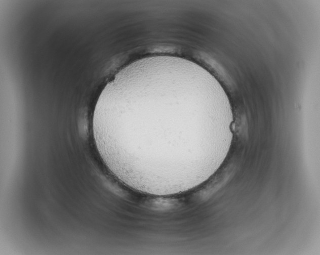 X0000112470261200909141124