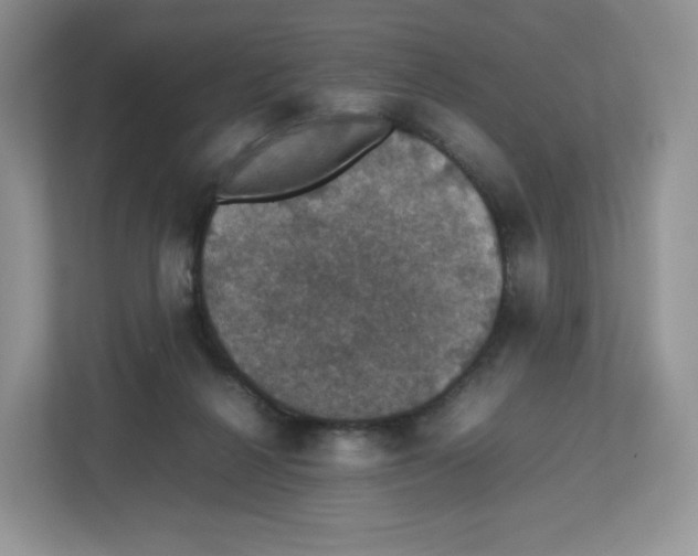 X0000112470264200909141124