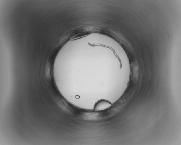 X0000112470266200909141124