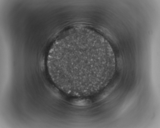 X0000112470267200909141124