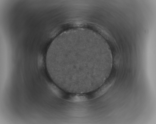 X0000112470270200909141124