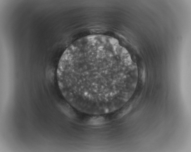 X0000112470271200909141124