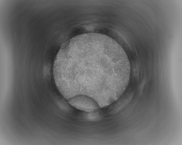 X0000112470275200909141124