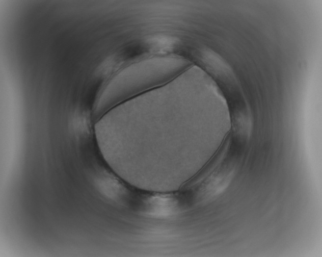 X0000112470280200909141124