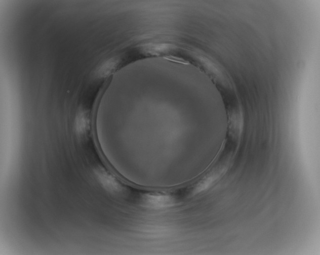 X0000112470284200909141124