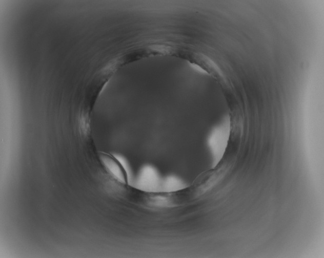 X0000112470285200909141124