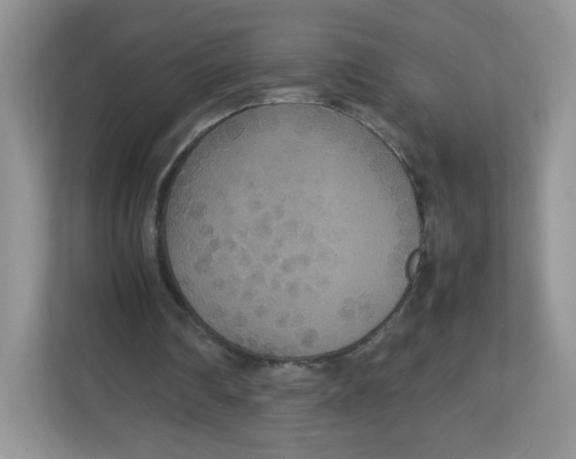 X0000112470290200909141124