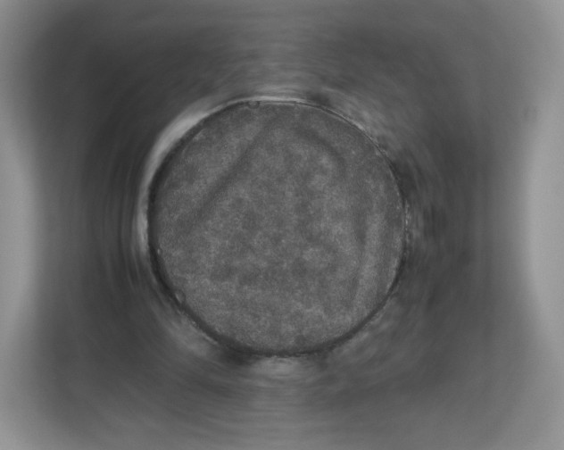 X0000112470294200909141124