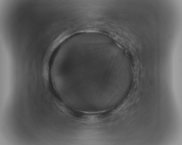 X0000112470295200909141124
