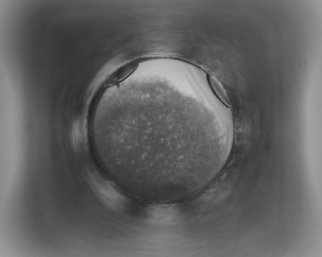 X0000112470296200909141124
