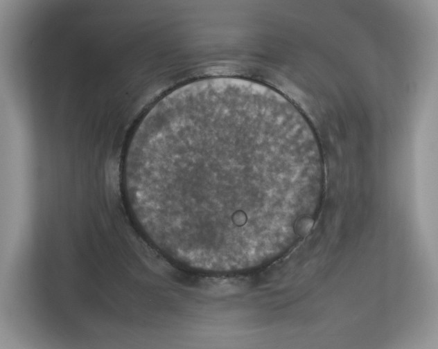 X0000112470297200909141124