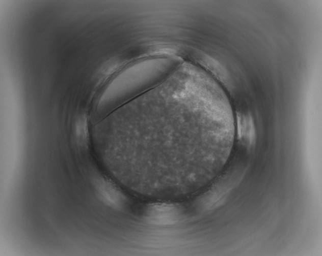 X0000112470300200909141124