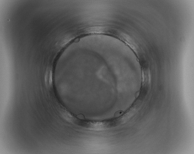 X0000112470301200909141124