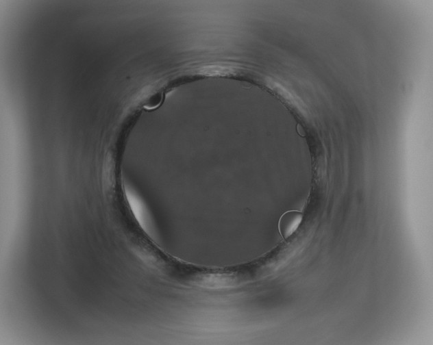 X0000112470303200909141124
