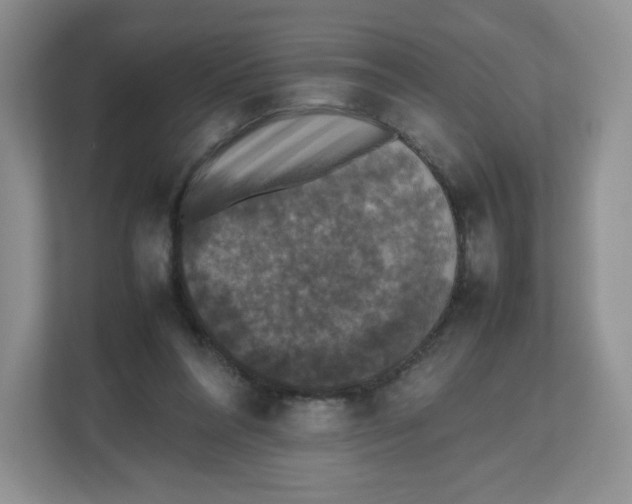 X0000112470304200909141124