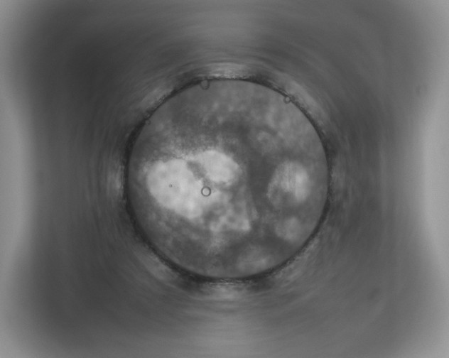 X0000112470305200909141124