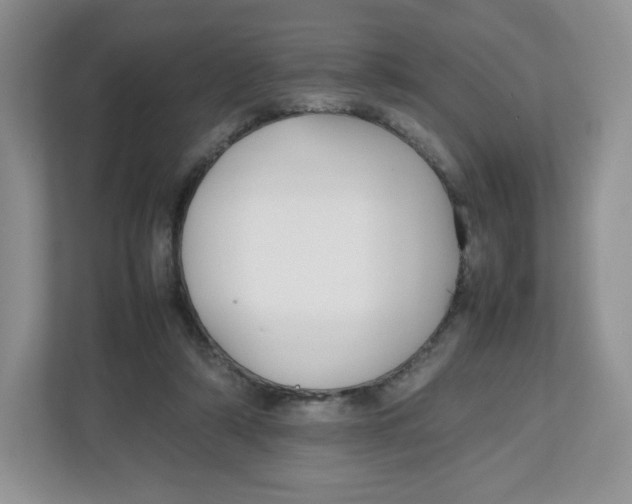 X0000112470306200909141124