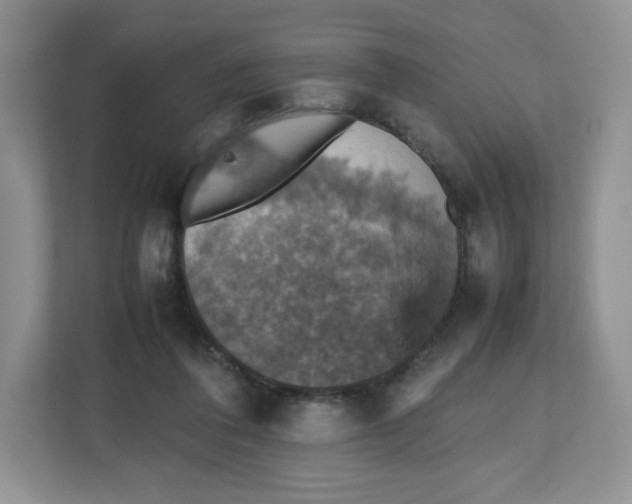 X0000112470308200909141124