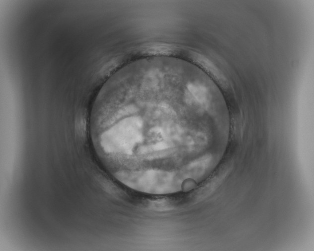 X0000112470309200909141124