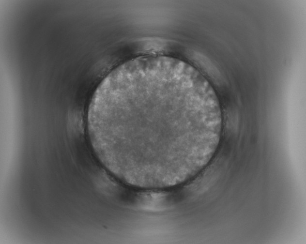 X0000112470313200909141123