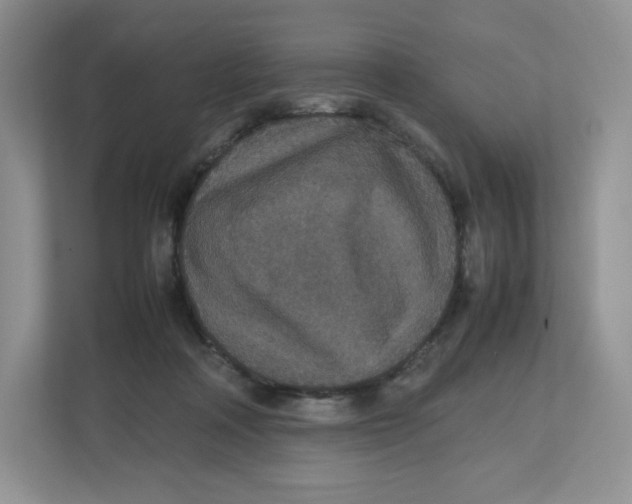 X0000112470314200909141123