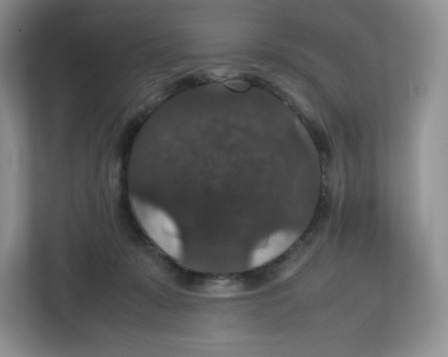 X0000112470319200909141123