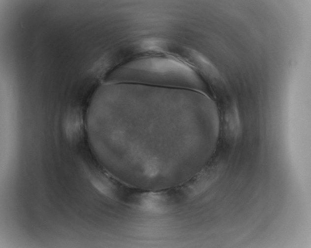 X0000112470320200909141123