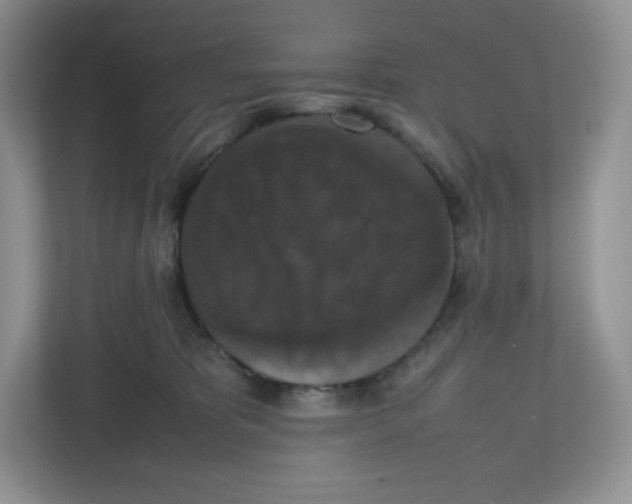 X0000112470325200909141123