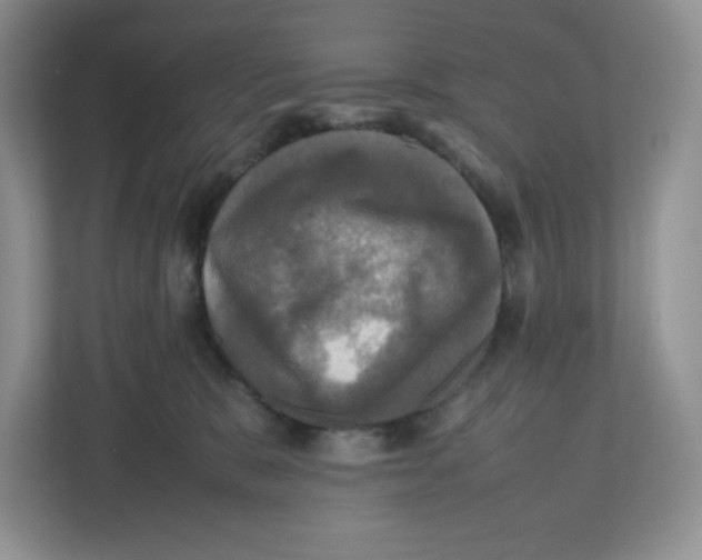 X0000112470327200909141123