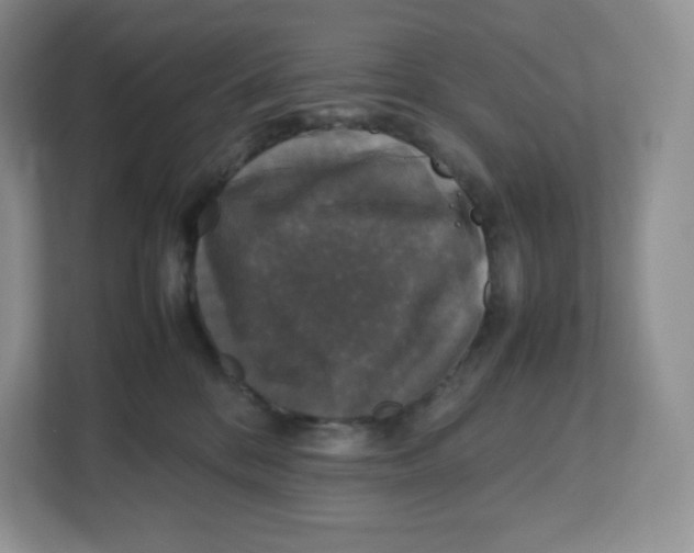 X0000112470328200909141123