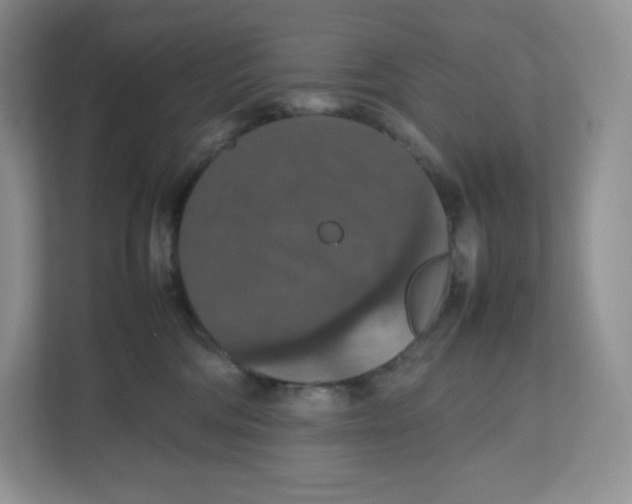 X0000112470330200909141123
