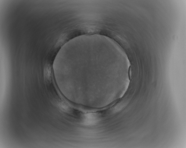 X0000112470336200909141123