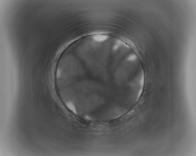 X0000112470337200909141123