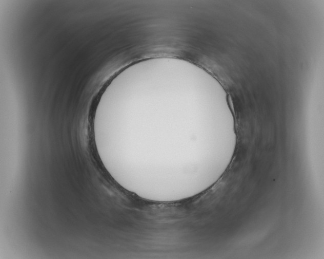 X0000112470338200909141123