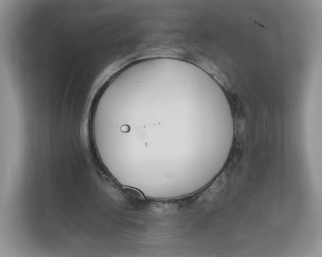 X0000112470340200909141123