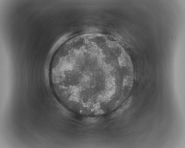 X0000112470341200909141123