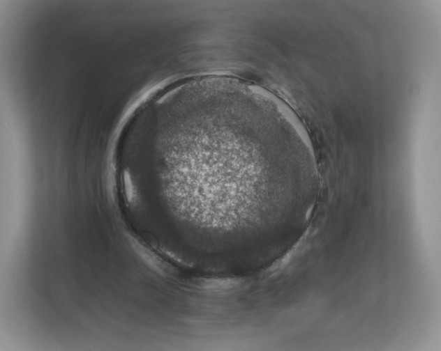 X0000112470342200909141123