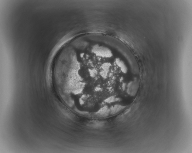X0000112470343200909141123