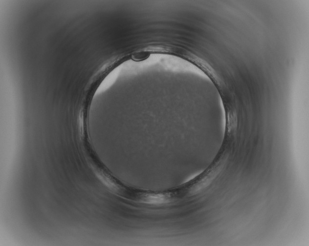 X0000112470349200909141123