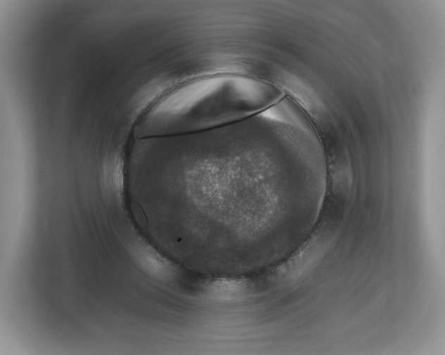 X0000112470350200909141123