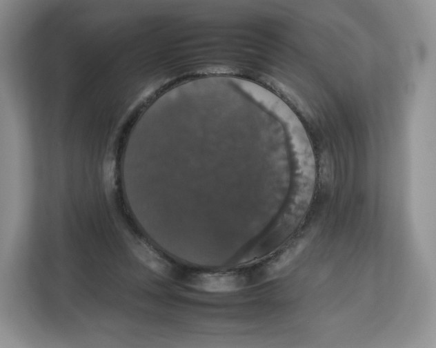 X0000112470351200909141123
