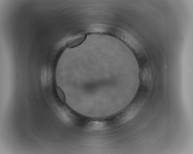 X0000112470352200909141123